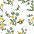 Seamless vector wallpaper on a white background with wildflowers dandelion